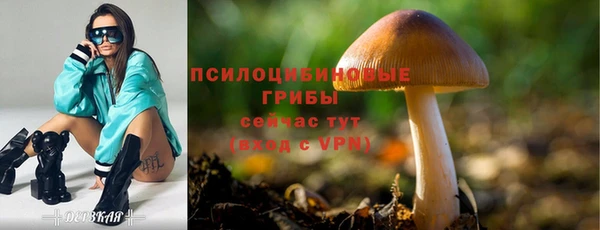 винт Арсеньев