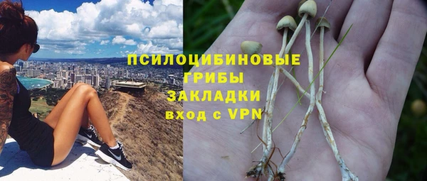 кокаин премиум Алексеевка