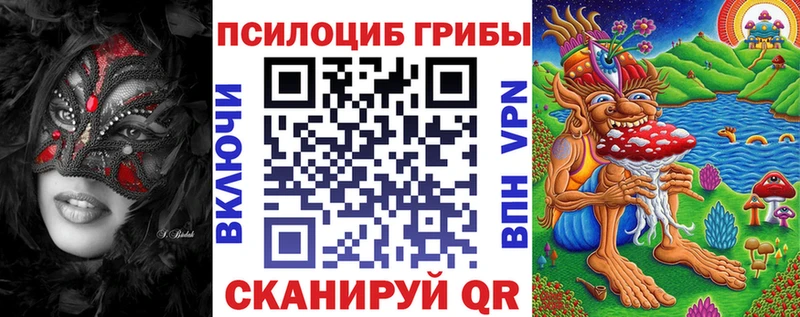 Псилоцибиновые грибы Psilocybe  сколько стоит  Белокуриха 